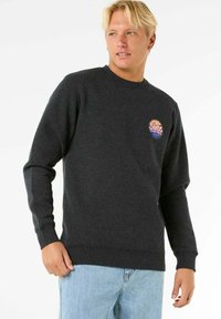 Grijze sweatshirt gemaakt van een katoenmix, met een ronde halslijn en lange mouwen. De voorkant heeft een veelkleurig circulair grafisch logo.