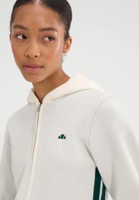 Jasnoszara bluza z kapturem na zamek z kremowym podszyciem, zielonym logo i ciemnozielonymi pasami po bokach. Miękka tekstura i dopasowany krój.