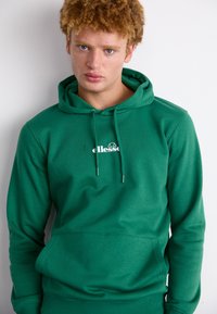 Sudadera con capucha verde hecha de tela suave, que cuenta con un bolsillo tipo canguro, capucha con cordones y un logo impreso en el pecho.