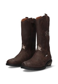 Bruine leren cowboylaarzen met een zijrits, decoratieve stiksels en zilveren steraccenten. Platte zool en schacht van gemiddelde hoogte.