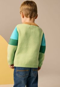 Zeleno-modrý pruhovaný sveter s rebrovaným golierom a manžetami, nosený s džínsami, zobrazený zozadu proti neutrálnemu pozadiu.