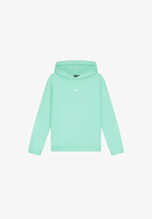 Mintgroene hoodie met lange mouwen en een klein wit logo in het midden van de borst, getoond op een witte achtergrond.