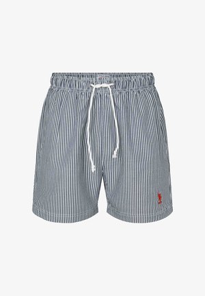 Pantaloni de baie pentru bărbați în dungi verticale bleu marin și alb, având o talie elastică cu un șnur alb și un accent cu un logo roșu.