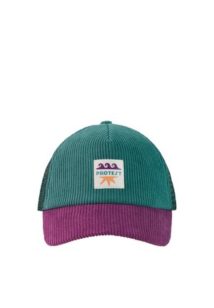 Groene en paarse corduroy baseballpet met een rechthoekige patch met golven, zon en het woord "PROTEST" aan de voorkant.