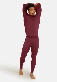 icebreaker 260 TECH - Unterhose lang - port
