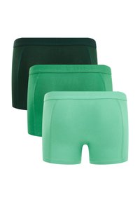 WE Fashion 3-PACK - Hlačke - green