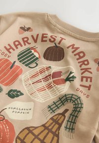 Bluza o tematyce jesiennej z dyniami, marchewkami, żołędziami, zielonym kratkowanym szalikiem i tekstem "Harvest Market" oraz "Homegrown Pumpkin."