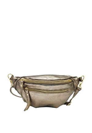 Sac banane - champagne irise