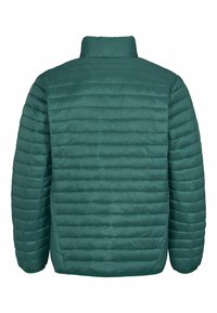 U.S. Polo Assn. MARK  - Téli dzseki - rain forest