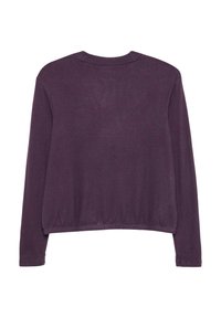 Paarse lange mouwen top met een relaxte pasvorm, ronde halslijn en elastische zoom. Gladde textuur met een subtiel gemêleerd patroon.
