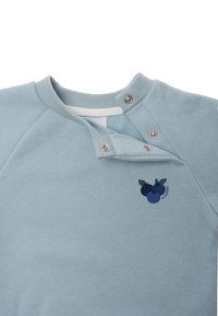 Hellblaues Sweatshirt mit rundem Halsauschnitt, Druckknopfverschluss und einem Heidelbeer-Grafikakzent. Weicher, strukturierter Stoff mit sportlichem Design.