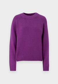 CASHSOFT CREW - Striktrøje - purple