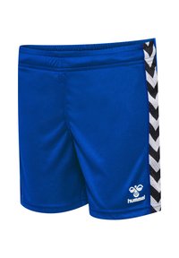 Blå idrottsshorts i slätt tyg, med ett svart och vitt chevronmönster längs sidorna och ett elastiskt midjeband.