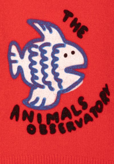 THE ANIMALS OBSERVATORY BULL KIDS UNISEX - Jumper - red