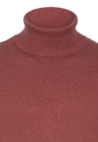 Suéter de cuello alto acanalado en un rico color terracota. Textura suave de punto con un diseño ajustado. Sin logotipos ni adornos visibles.