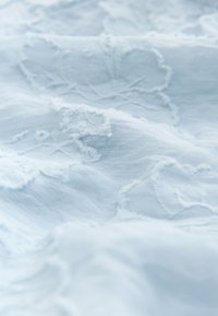 Tessuto azzurro chiaro con una superficie morbida e strutturata e bordi delicatamente sfrangiati. Presenta sottili motivi floreali intrecciati nel materiale.