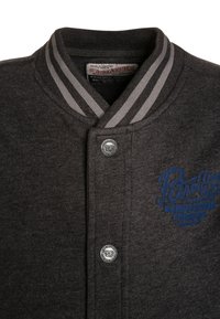 Chaqueta varsity gris con cuello de canalé y acentos a rayas, que presenta un cierre de botones a presión y un detalle de logo impreso en azul.