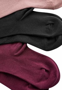Next RICH 3 PACK - Collant - black berry