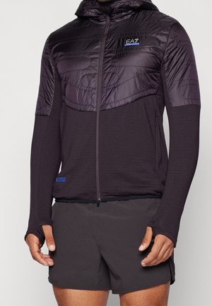Mand iført en sort lynlåstrøje med hætte og EA7-logo på brystet, kombineret med sorte sportsshorts, stående mod en ensfarvet baggrund.
