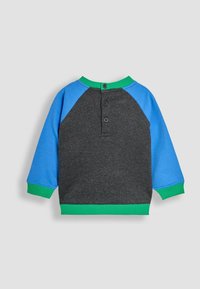 Harmaa huppari, jossa on siniset raglan-hihat, vihreä kaulus ja alapuolen hihansuut. Takana kolme nappia. Puuvilla-sekoitemateriaali.