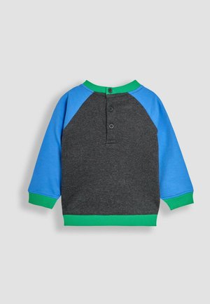 Grauer Sweatshirt mit blauen Raglanärmel, grünem Ausschnitt und unteren Bündchen. Verfügt über drei Knöpfe auf der Rückseite. Material aus Baumwollmix.