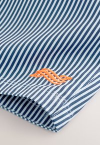 Sinine ja valge triibuline särk, millel on oranž tikitud logo. Kangas on sile ja krõmpsuv viimistlusega. Alumine serv on kõver.