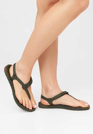 CHEERFUL14 - Chanclas de dedo - army