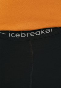 icebreaker MERINO 200 MID WEIGHT ZONEKNIT - Kalesony