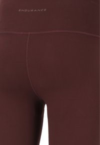 Endurance RALEIGH - Tights - fudge