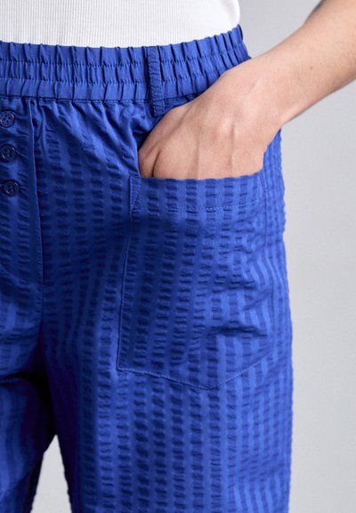 Baum und Pferdgarten NIBAL - Pantaloni - bluing