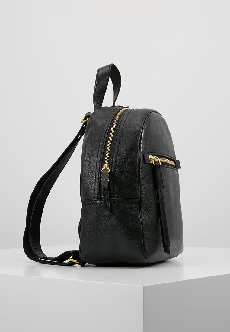 best osprey backpack for last 10 year's The 3 Best Travel Backpacks of 2026