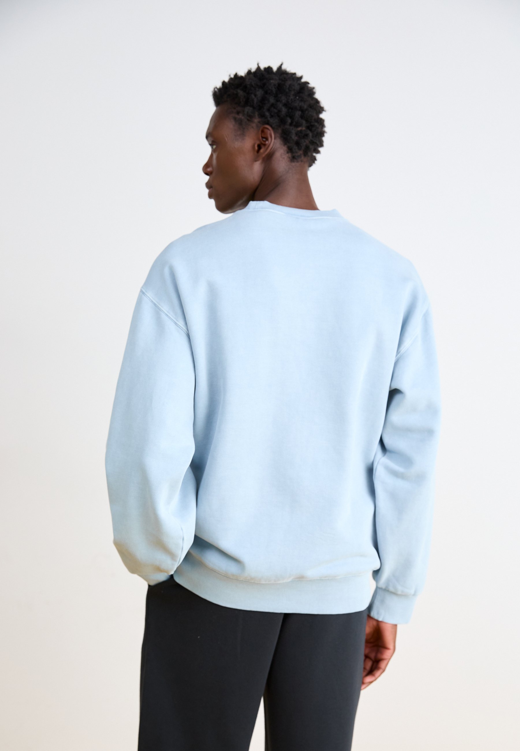 Carhartt WIP VISTA - Sweatshirt - dusty ice garment dyed/light