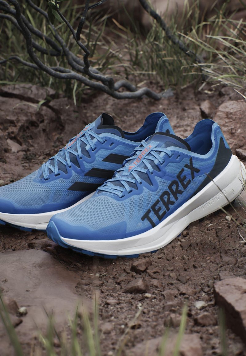 Blaue Sport Schuhe mit einem Netz-Obermaterial, schwarzen Akzenten und großen "TERREX"-Branding. Mit gepolsteter Sohle und strukturiertem Gummi-Außensohle.
