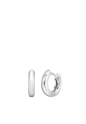 Earrings - silver-coloured