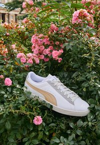 Vit sneaker med grå och guldiga detaljer, med en texturerad yta, rund tå, snörning och logodetaljer, placerad mot en bakgrund av rosa rosor.