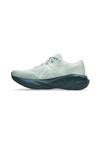 ASICS NOVABLAST 5 TR - Trail running shoes - nature bathing   lichen rock