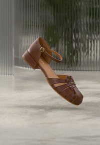 Επιλέχθηκε, brown