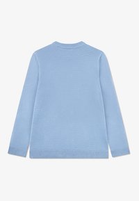 Light blue sweater featuring a ribbed knit texture, round neckline, and long sleeves. Finished with ribbed cuffs and hem.