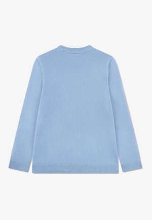 CREW NECK - Maglione - panorama