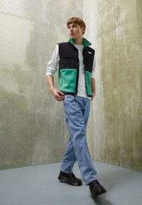 The North Face DENALI VEST - Brezrokavnik - deep grass green