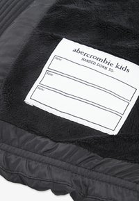 Abercrombie & Fitch MIDWEIGHT PUFFER JACKET UNISEX - Winter jacket - meteorite