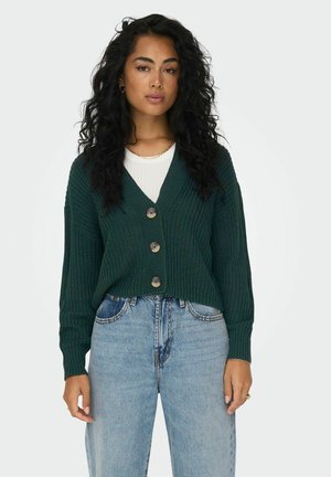 Groene gebreide cardigan met een V-hals, lange mouwen en vier grote knopen. Draagt over een witte top en gecombineerd met lichtblauwe jeans.