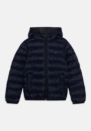 LIGHTWEIGHT UNISEX - Winter jacket - desert sky