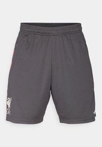 Graue Sportshorts mit elastischem Bund, roten Seitenstreifen und einem hellen Liverpool F.C.-Logo am unteren Saum.