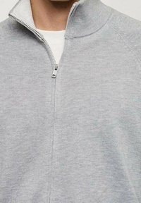 Uomo che indossa un maglione zip-up grigio chiaro sopra una camicia bianca, con la cerniera parzialmente chiusa al colletto.
