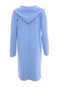 Abito felpa a maniche lunghe di colore azzurro chiaro con vestibilità rilassata, texture uniforme e dettaglio della cucitura centrale. Si ferma sopra il ginocchio.