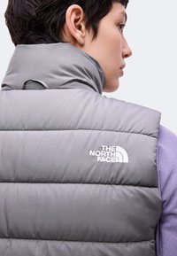 Άτομο που φοράει γκρι ανοιχτό γιλέκο North Face με επένδυση πάνω από μωβ μπλουζάκι με μακριά μανίκια, εμφανιζόμενο από πίσω και προφίλ πλευράς.