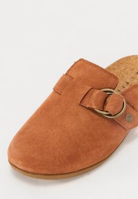 Brown suede clog with a curved toe and a side buckle. Cork insole visible. Smooth texture with minimal stitching accents. Flat sole.