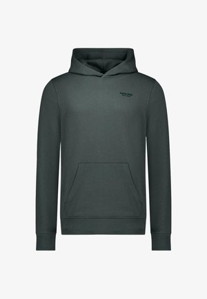 Cars Jeans, HOODIE TYLO - Hoodie - moss