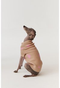 Beige hondentrui met een hoge kraag, versierd met roze hartpatronen. Het materiaal lijkt zacht, en het ontwerp heeft nauwsluitende mouwen.